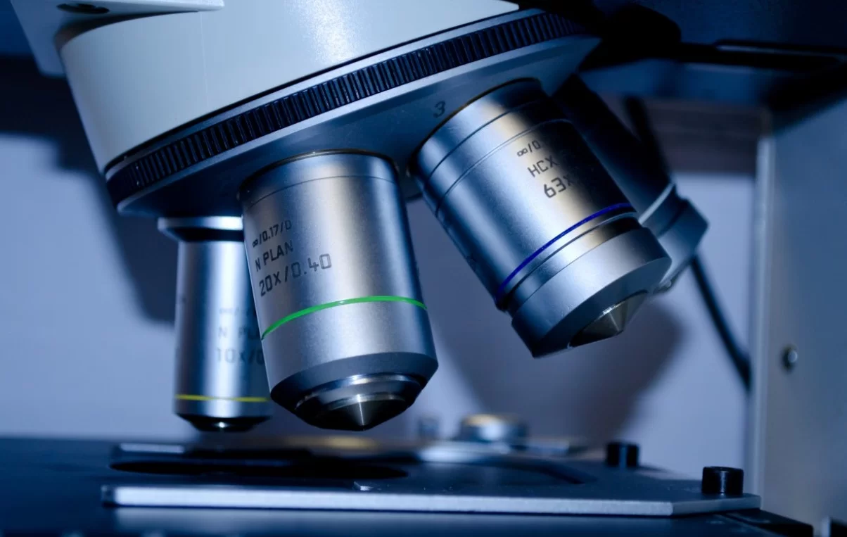 Учёные связали диабет и болезнь Альцгеймера через гормон амилин